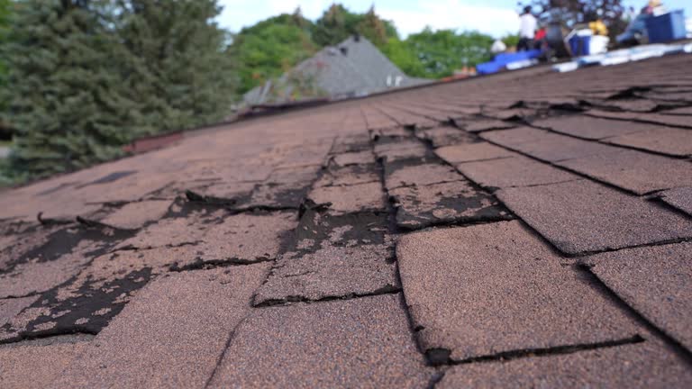 Best Storm Damage Roof Repair  in Thornton, CO